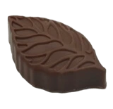Feuille cajou